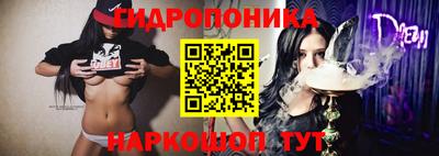стафф Коммунар