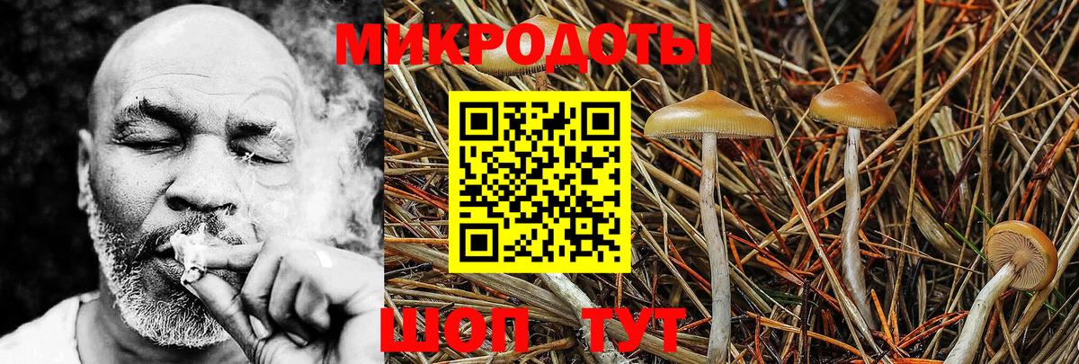 Псилоцибиновые грибы прущие грибы Карпинск