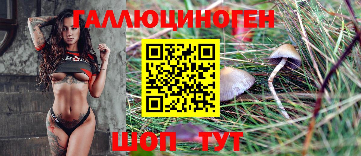 Галлюциногенные грибы MAGIC MUSHROOMS  Вход с VPN  Карпинск  Псилоцибиновые грибы Magic Shrooms 